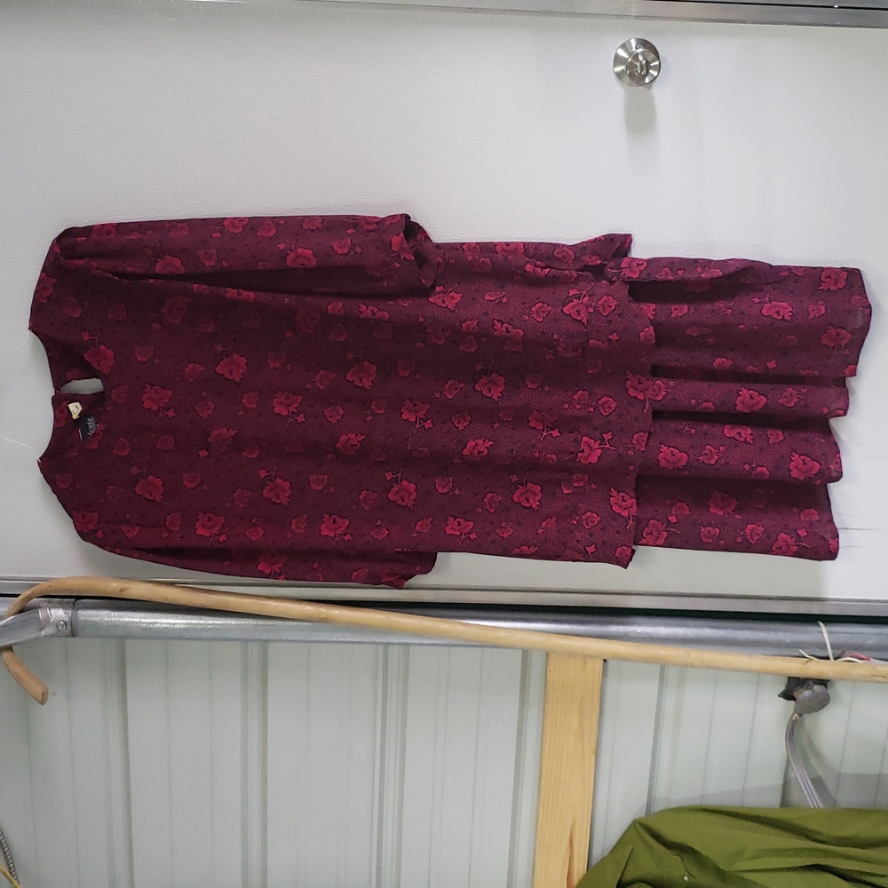 Vintage Alexis 22w dress